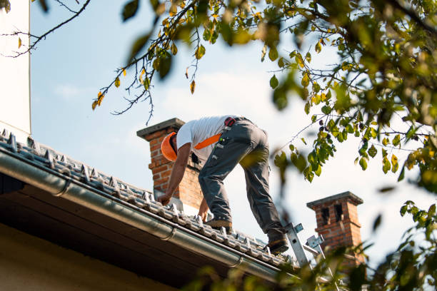 Best Storm Damage Roof Repair  in Riverview, MI