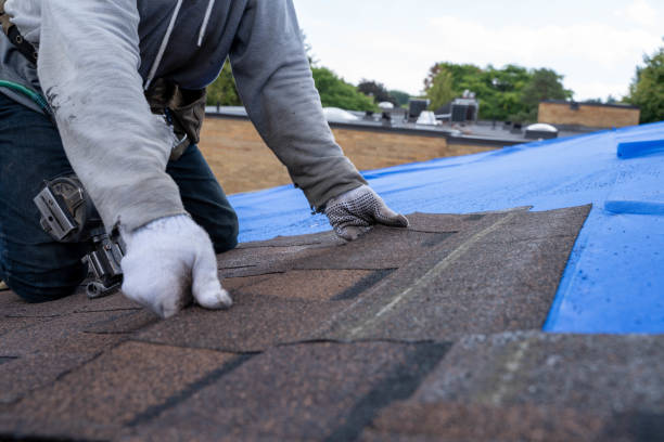 Best Flat Roof Repair Services  in Riverview, MI