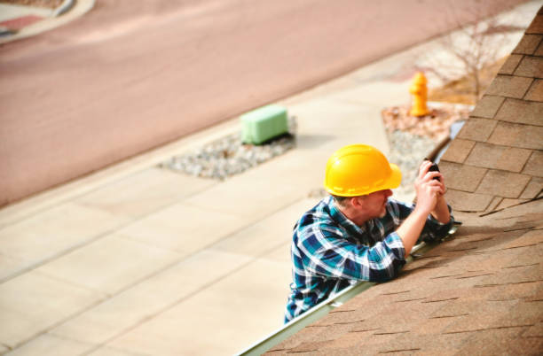 Best Roof Maintenance Services  in Riverview, MI