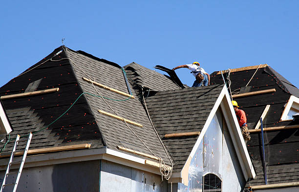 Best Metal Roofing Contractor  in Riverview, MI