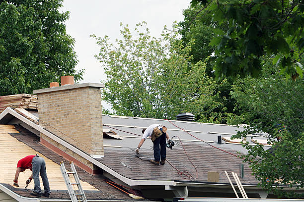 Quick and Trustworthy Emergency Roof Repair Services in Riverview, MI