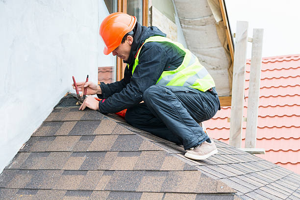Best Roof Maintenance Services  in Riverview, MI
