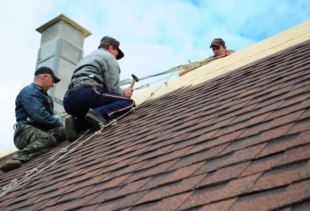 Best Emergency Roof Repair  in Riverview, MI