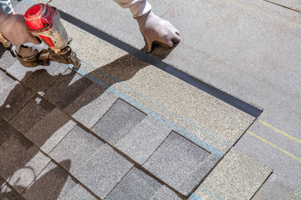 Best Local Roofing Companies  in Riverview, MI