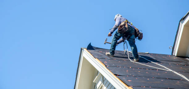Best Roofing Contractor Near Me  in Riverview, MI